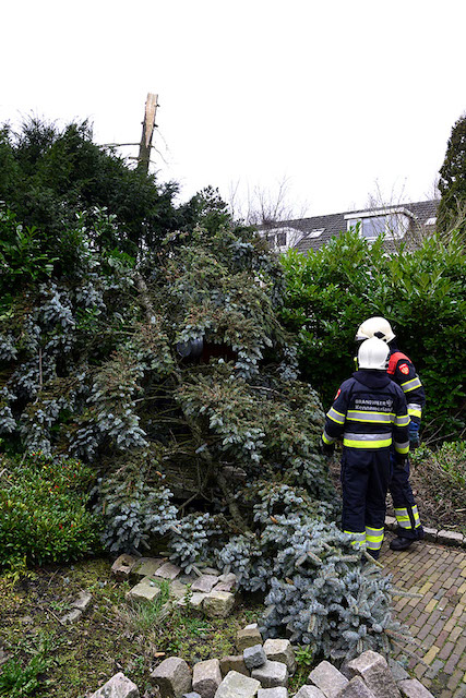 2013/331/GB 20131224d 007 Haamstedestraat stormschade.jpg